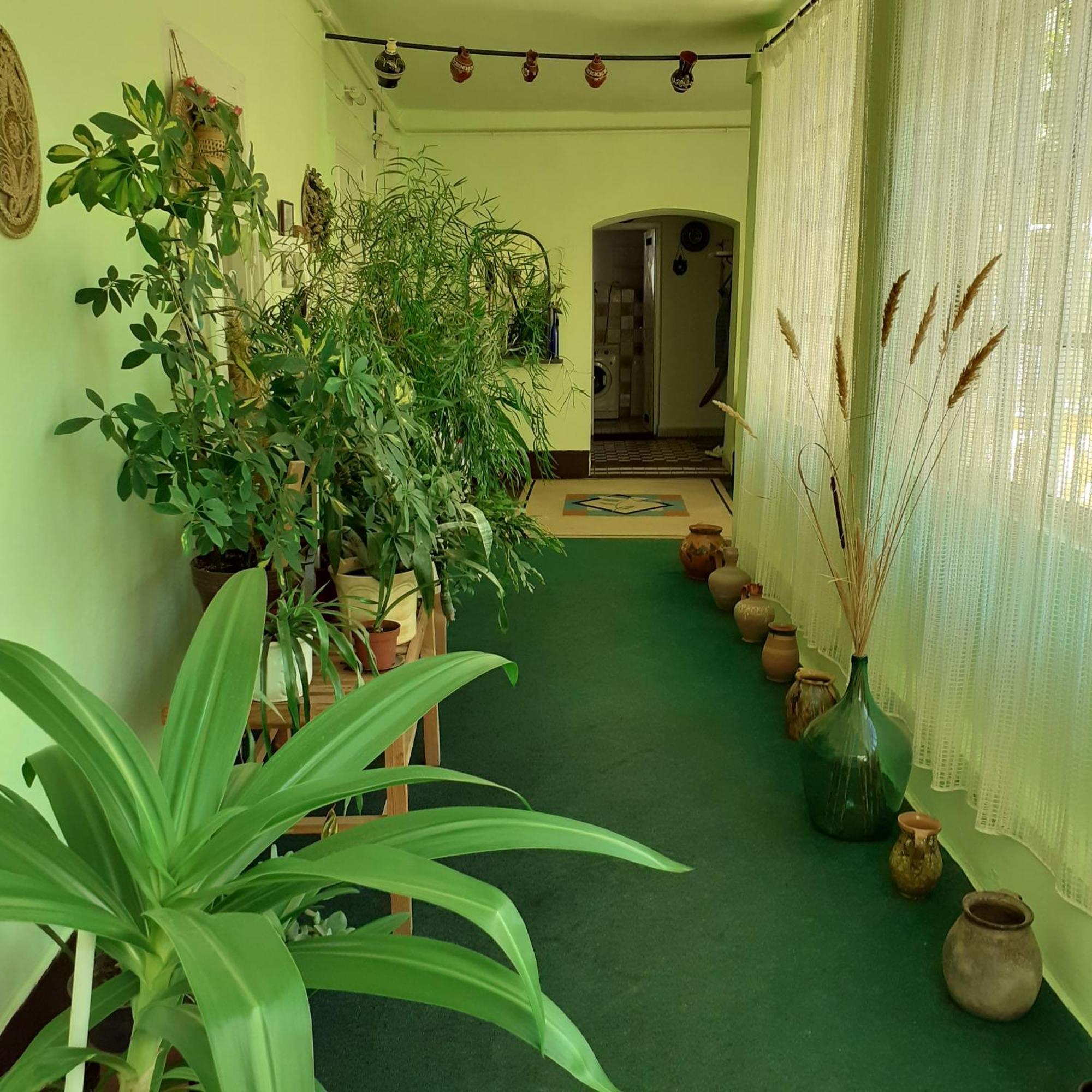 Marika Vendeghaz Apartment Abadszalok Exterior photo